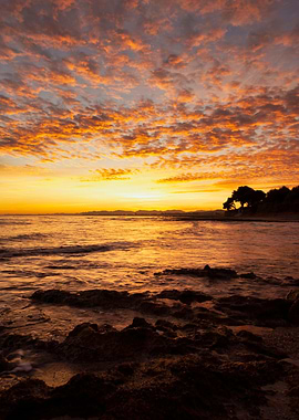 Sunsets landscapes sea