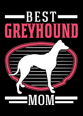 Best Greyhound Mombritish