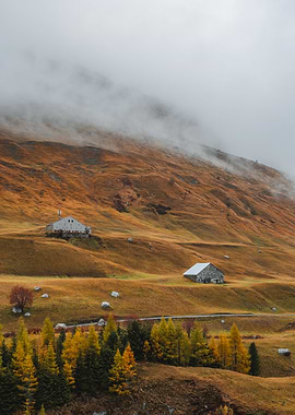 Foggy Swiss Landscape