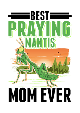 Best Praying Mantis Mom