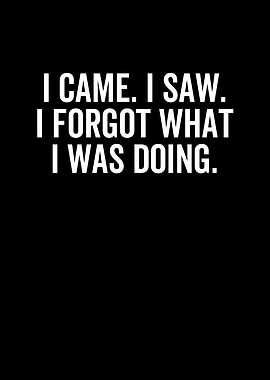 I Came I Saw I Forgot What