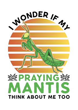 Praying Mantis