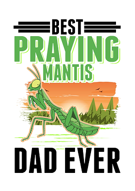 Best Praying Mantis Dad