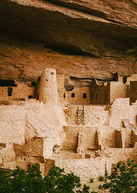 mesa verde