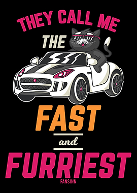 Cool cat drives cabriolet