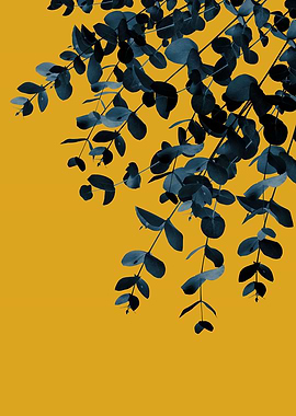 Eucalyptus Fall Delight 1