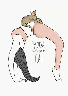 Yoga with your cat