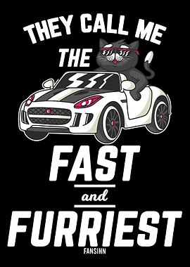 Cat funny saying car excur