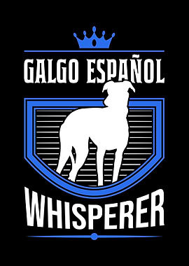 Galgo Espaol Whisperer