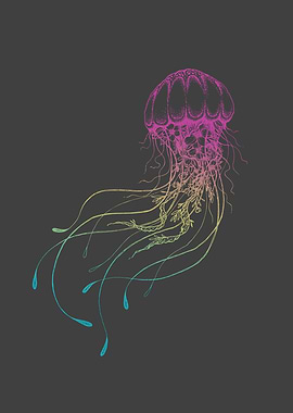 Jelly Sea Water Gift