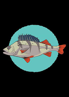 european perch fish