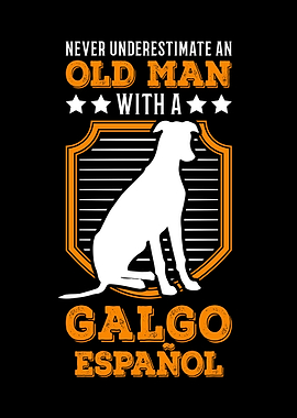 Galgo Espaol Old Man