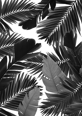 Jungle Leaves Finesse 6