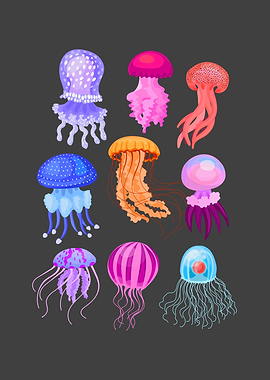 Jelly Sea Water Gift