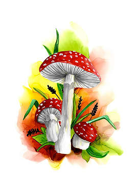 Magic Mushrooms