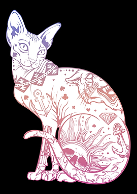 Sphynx Cat Kitten Wicca