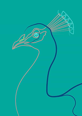 Coloured Line Peacock