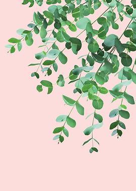 Eucalyptus Blush Green 1