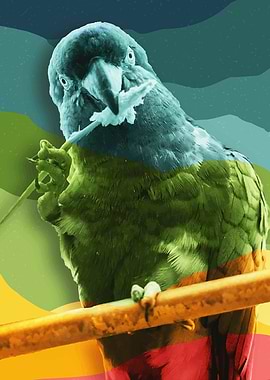 Rainbow Parrot Fingers