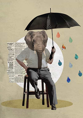 Elephant Man Collage