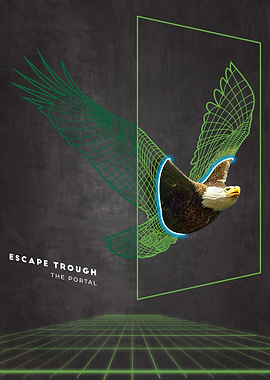 Virtual Reality Eagle