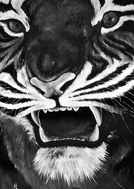 Tiger in Black and White