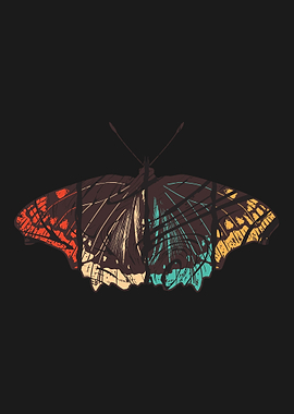 Butterfly Animal