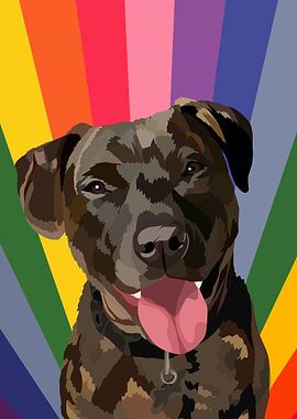 pet dog rainbow