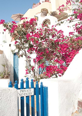 Santorini Oia Beauty 1
