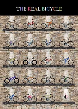 THE REAL BICYCLE