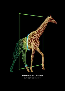 Giraffe walks through a