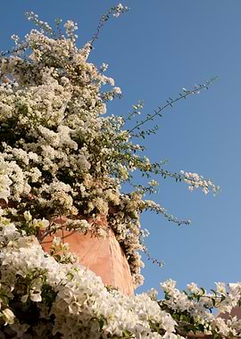 Santorini Oia Beauty 2