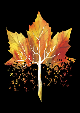 Leaf Autumn Tree Orange Fa