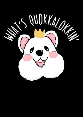 Whats Quokkalokkin