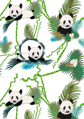 Bamboo and panda