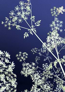 Abstract Wildflowers Blue