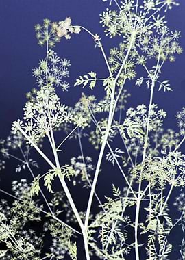 Blue Abstract Wildflowers