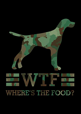 German Shorthair Pointer