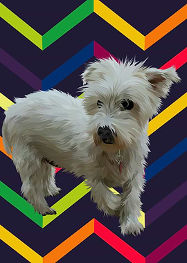 pet dog illustration