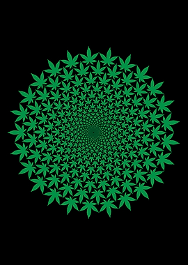 Drug Free Clean No Drugs