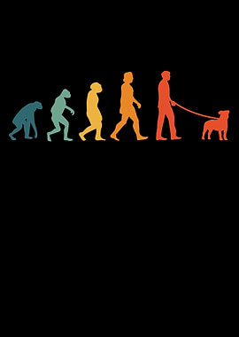 Parson Russell Terrier