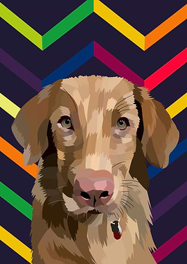 pet dog illustration