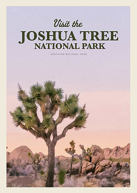 Visit Joshua Tree