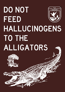 DO NOT FEED ALLIGATORS 2
