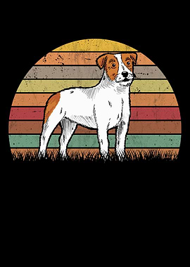 Parson Russell Terrier