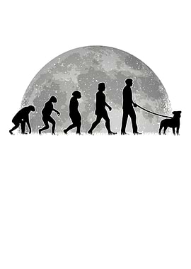 Parson Russell Terrier