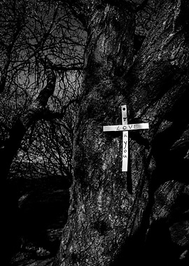Cross of tree