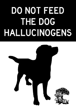 DO NOT FEED DOG FUNNY 2