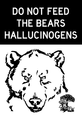 DO NOT FEED BEARS FUNNY
