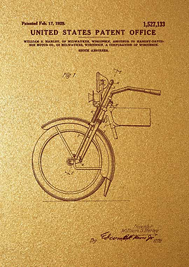 20 Harley Davidson Shock